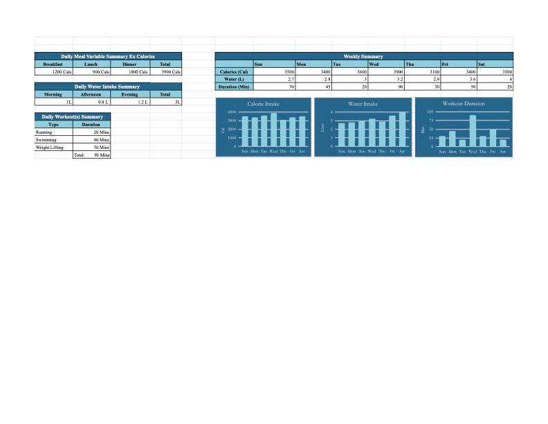 Digital Health & Physical Activity Tracker Template